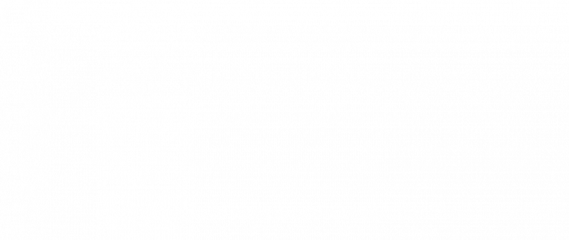 Praktyki Stena Line